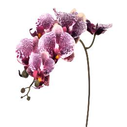 Well Designed 3D Printing Artificial Singal Latex Real Touch Orchids Flower